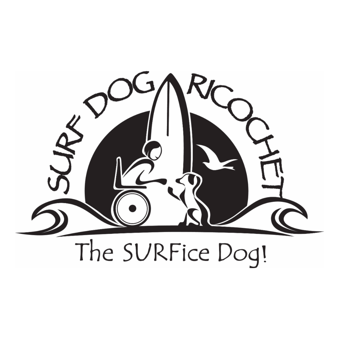 https://www.surfdogricochet.com/
