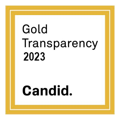 Gold Tranparency 2023
